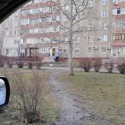 Пава