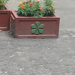 New Stage, центр подології