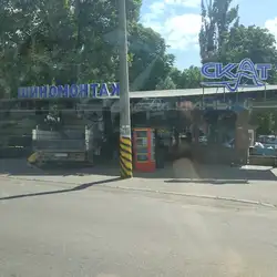 Скат — Одесса