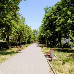 МГК-ТРАНСФОРВАРД, ФИЛИАЛ — Одеса
