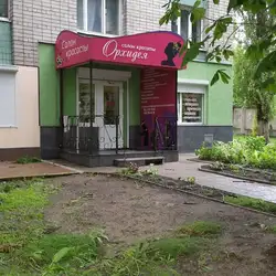 Орхідея