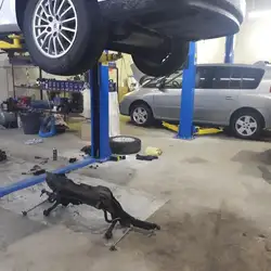 Renault Star Service — Київ