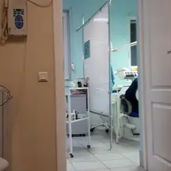 Родент