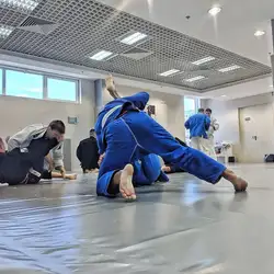 Checkmat Ukraine