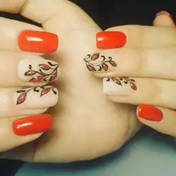 КігтеТочка