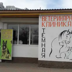 Темна Лошадка