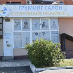 Сімейний улюбленець