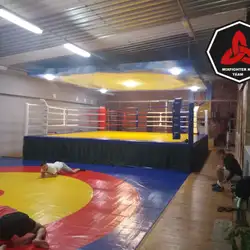 MIXFIGHTER - Рудницького