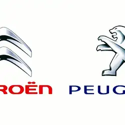 Peugeot Citroen DS