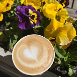 My coffee